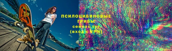 гидра Алзамай