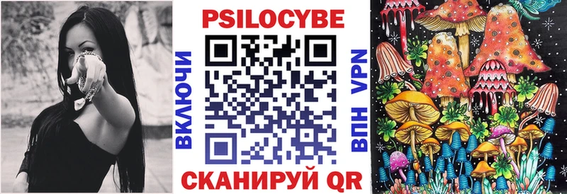 наркотики  Нижняя Салда  Галлюциногенные грибы прущие грибы 